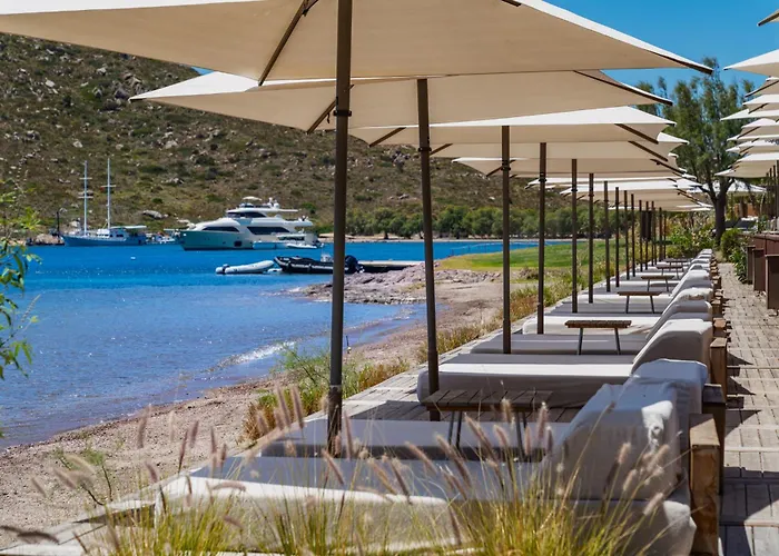 Xuma Oda ve Kahvaltı 4*