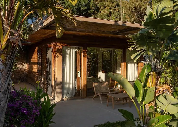 Xuma Αλικαρνασσός